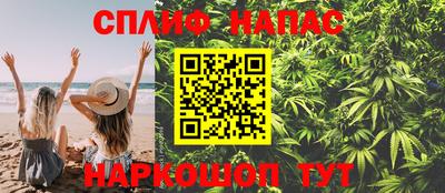 кокс Можга