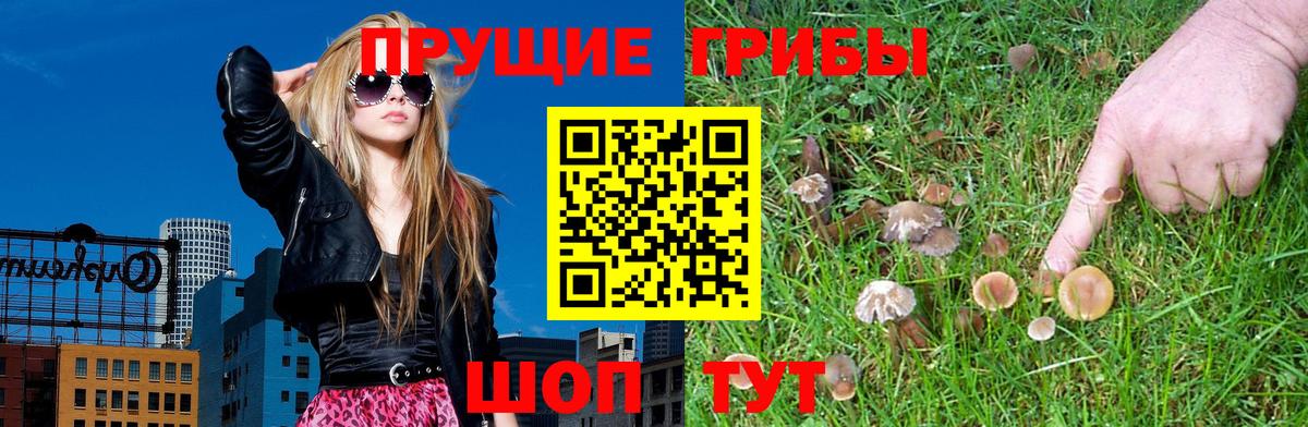 Псилоцибиновые грибы прущие грибы  Вход с VPN  Галлюциногенные грибы Magic Shrooms  Фролово 